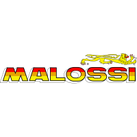 Malossi