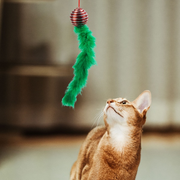 Jucărie pentru pisici - culori de Crăciun - 2 tipuri 58648