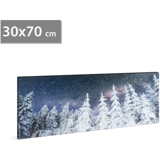 Tablou decorativ cu LED - 70 x 30 cm - peisaj de iarnă 58480B